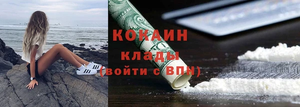 прущие грибы Майский
