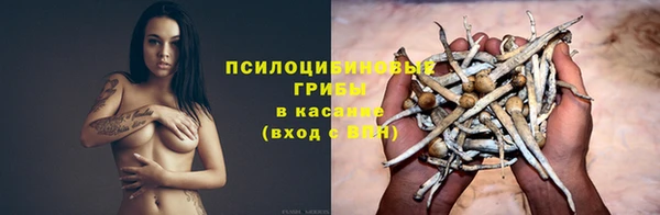 шишки Магас