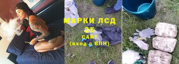 прущие грибы Майский