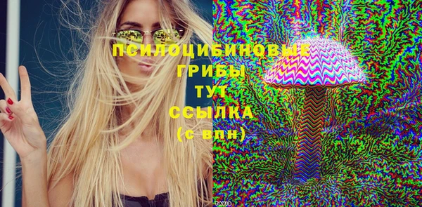 mdpv Медногорск
