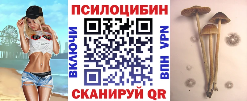 цена наркотик  Нижняя Салда  Галлюциногенные грибы Psilocybine cubensis 